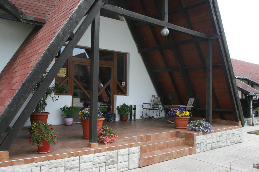 a porch with potted plants on the side of a house at Drumul Dragostei in Vintu De Jos