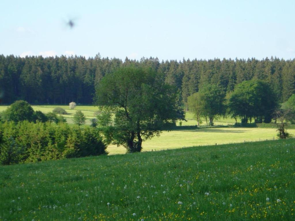 Příroda nedaleko prázdninového domu