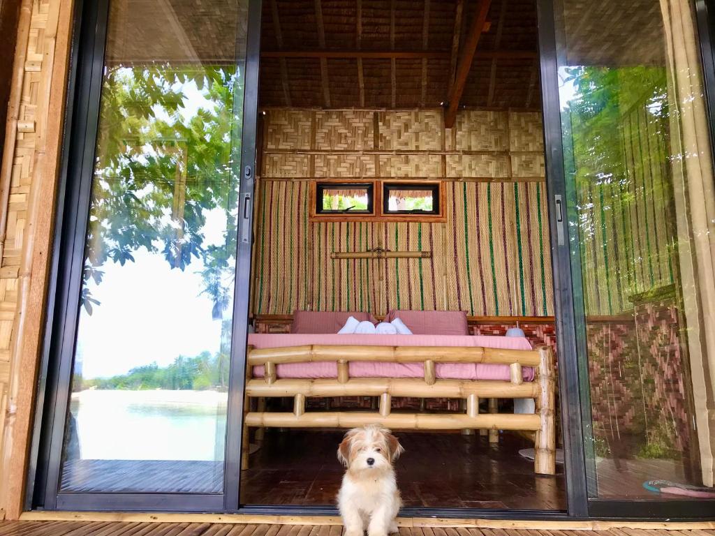 Domácí mazlíčci ubytovaní s hosty v ubytování Camotes Cay Hideaway