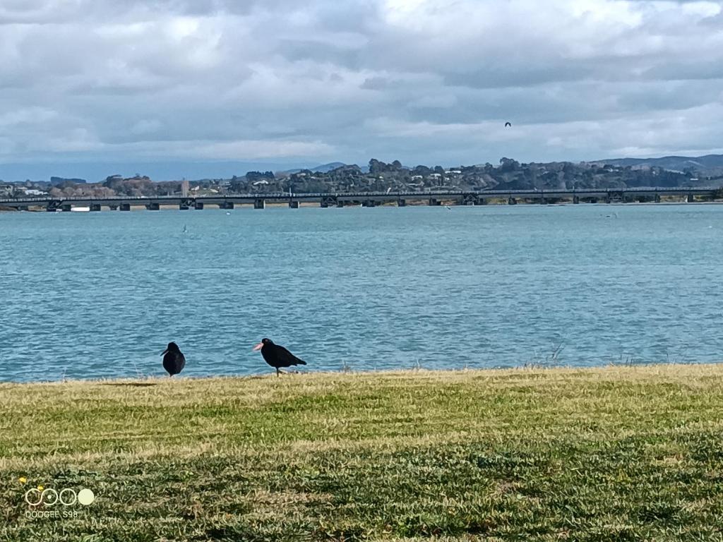 Cozy spacious estuary view three bedroom townhouse - Resim 28