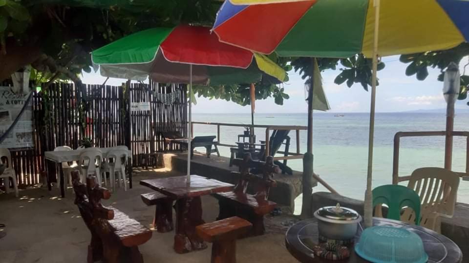 家庭旅館附近的自然景觀