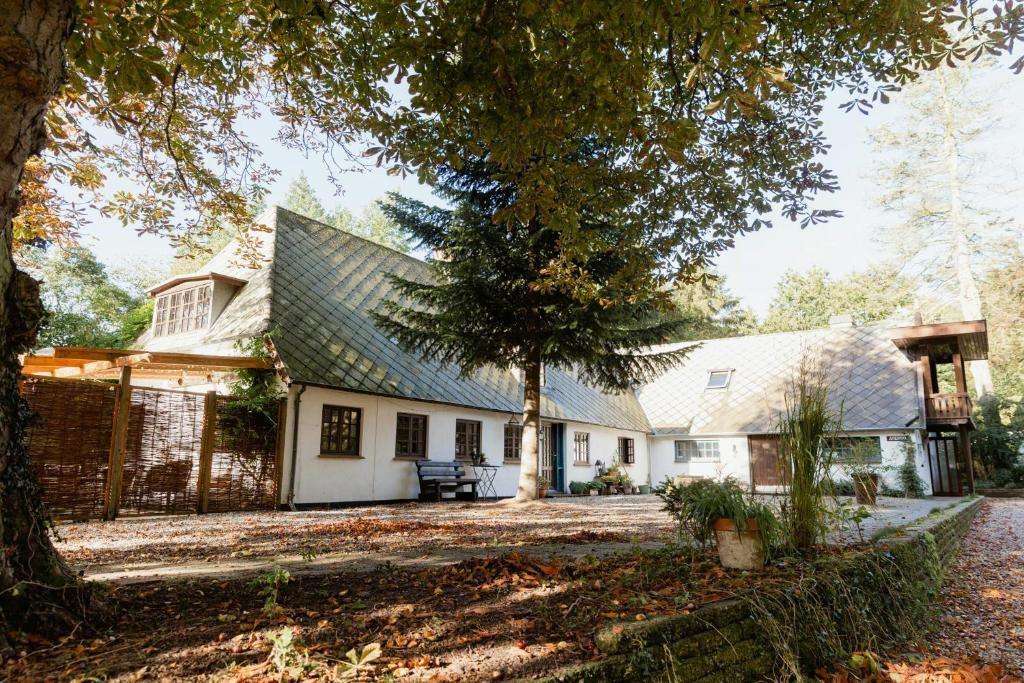 Fotografie z fotogalerie ubytování Retro House With Large Plot On South Funen v destinaci Åbyskov