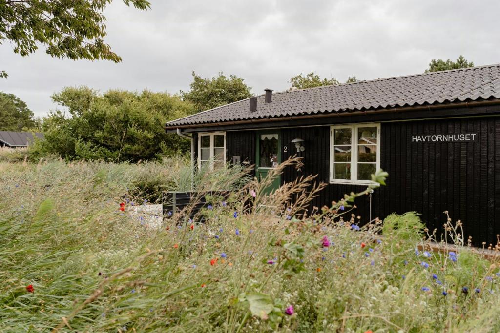 Κήπος έξω από το Romantic Cabin Near Water And History