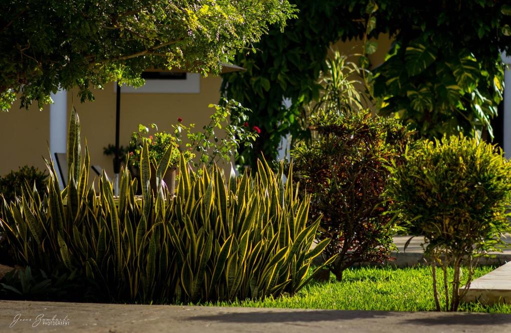 Zahrada ubytování Hotel Hacienda de Izamal