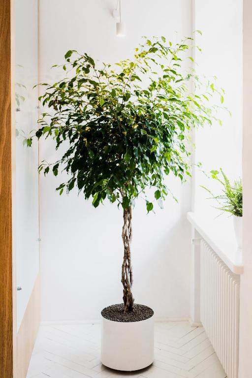 Apartamenty Browar Perla - free Parking - Resim 36