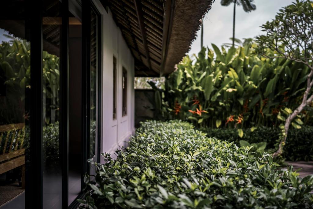 The Retreat at Kharista by Ekosistem - 5