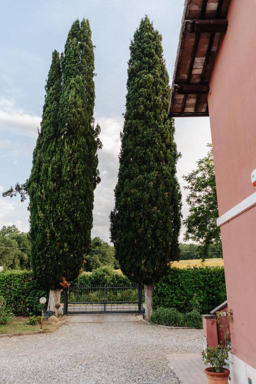 Il Casale delle Rose - 8