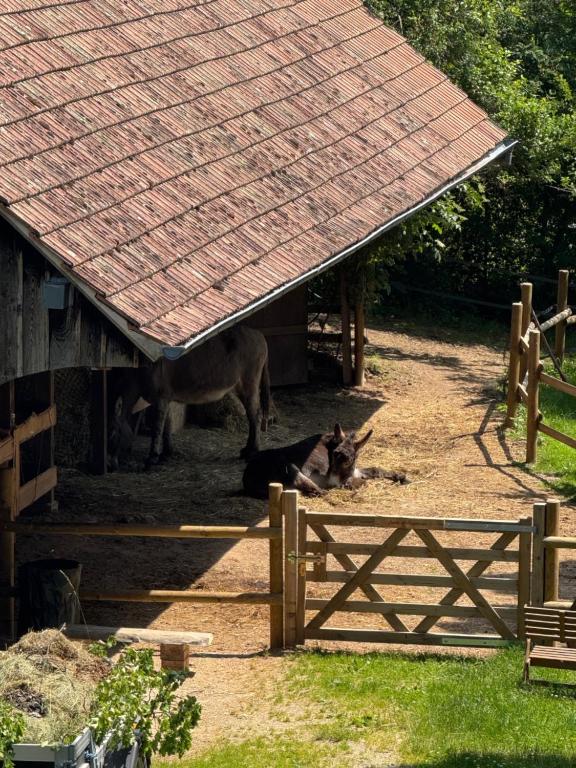 Gîte au Manoir des Sens - Panorama Taennchel aux portes du Haut-Koenigsbourg – photo 15