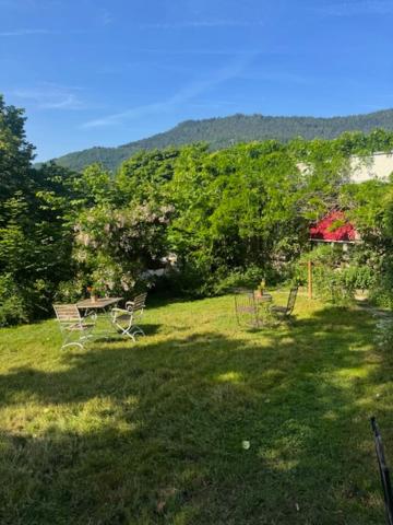 Gîte au Manoir des Sens - Panorama Taennchel aux portes du Haut-Koenigsbourg – photo 32