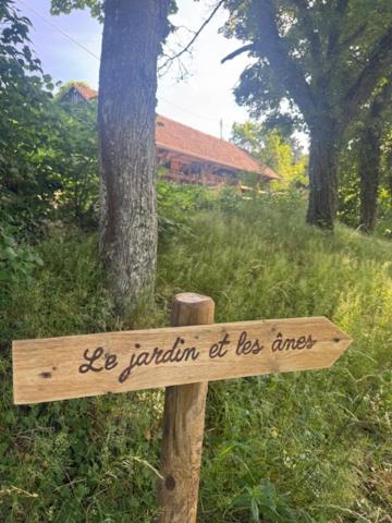 Gîte au Manoir des Sens - Panorama Taennchel aux portes du Haut-Koenigsbourg – photo 34