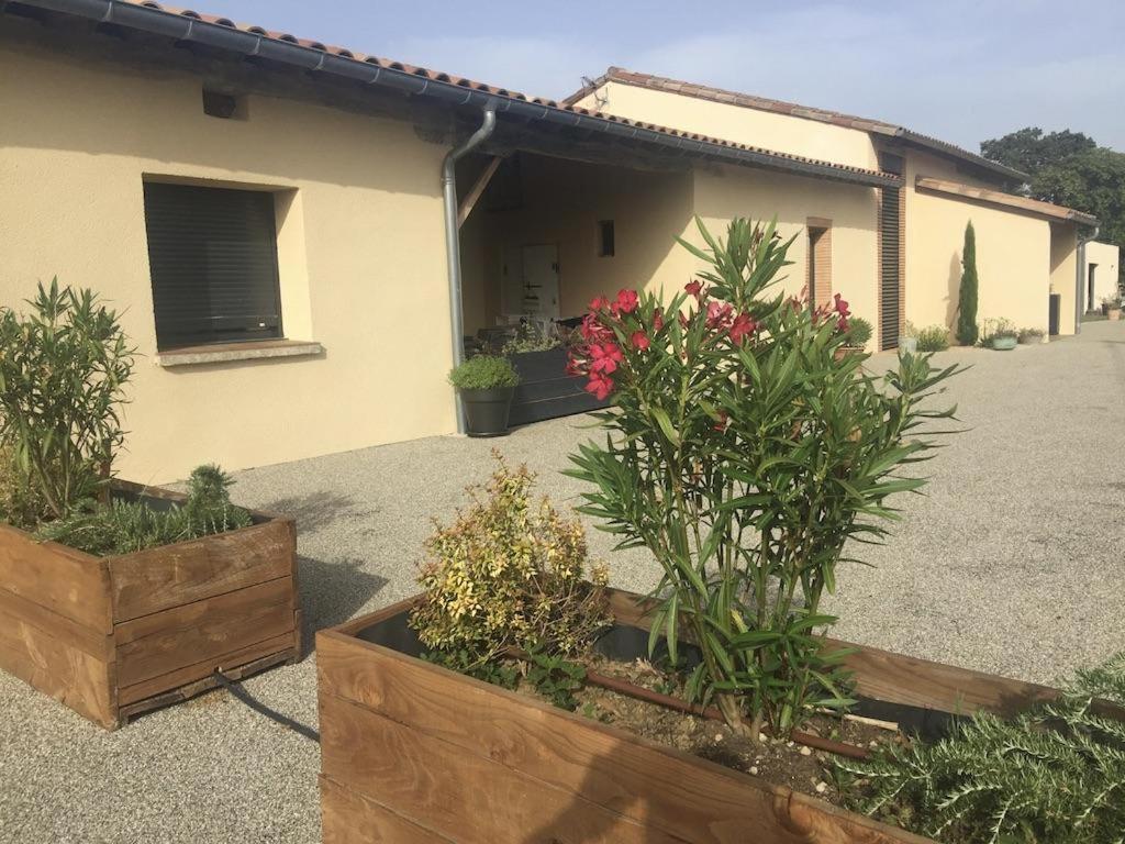 a house with some plants in front of it at Gîte la selve d'autan in Caraman