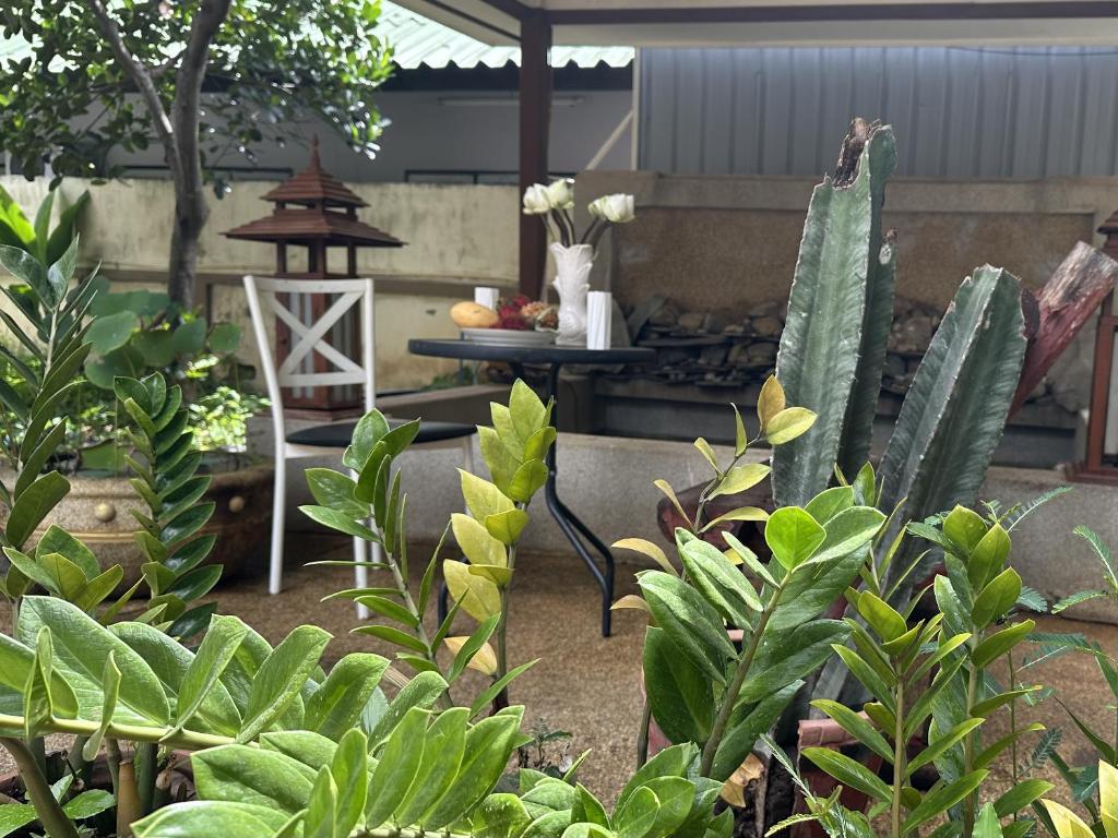 a garden with green plants and a table and a grill at Yoga Bed and Breakfast in Chiang Mai