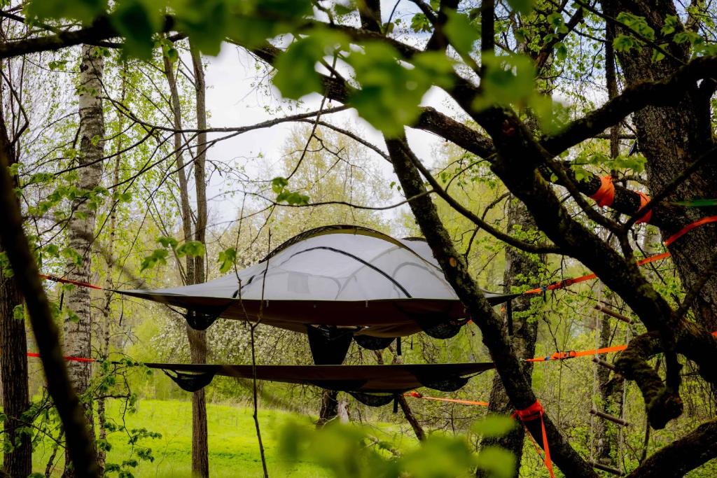 Fotografie z fotogalerie ubytování Teltis Liepās v destinaci Puša