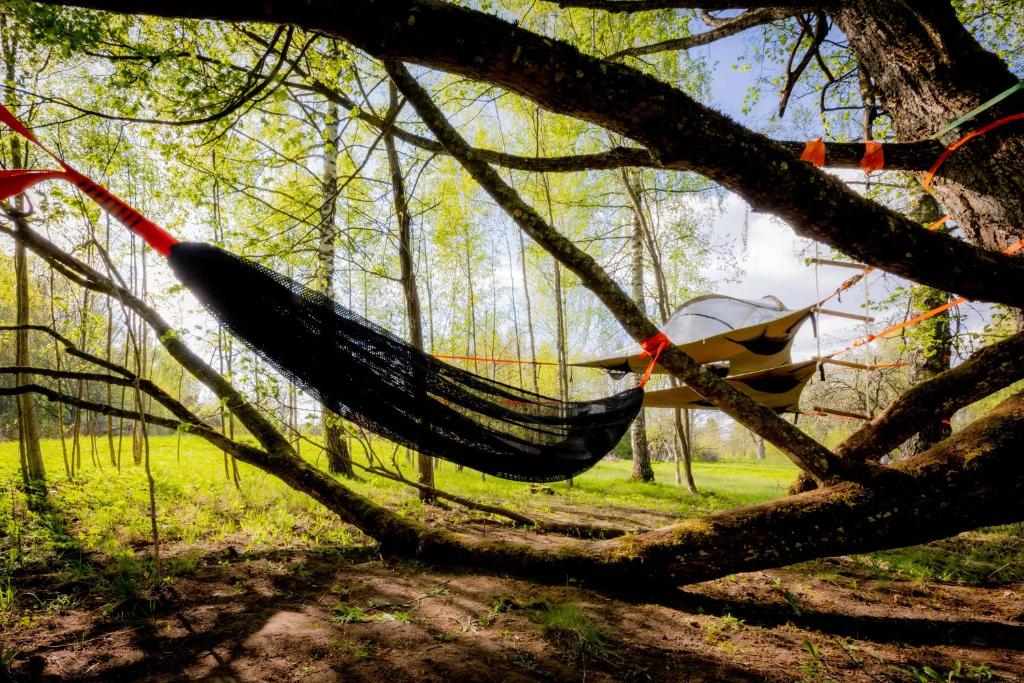 Příroda nedaleko luxury tent