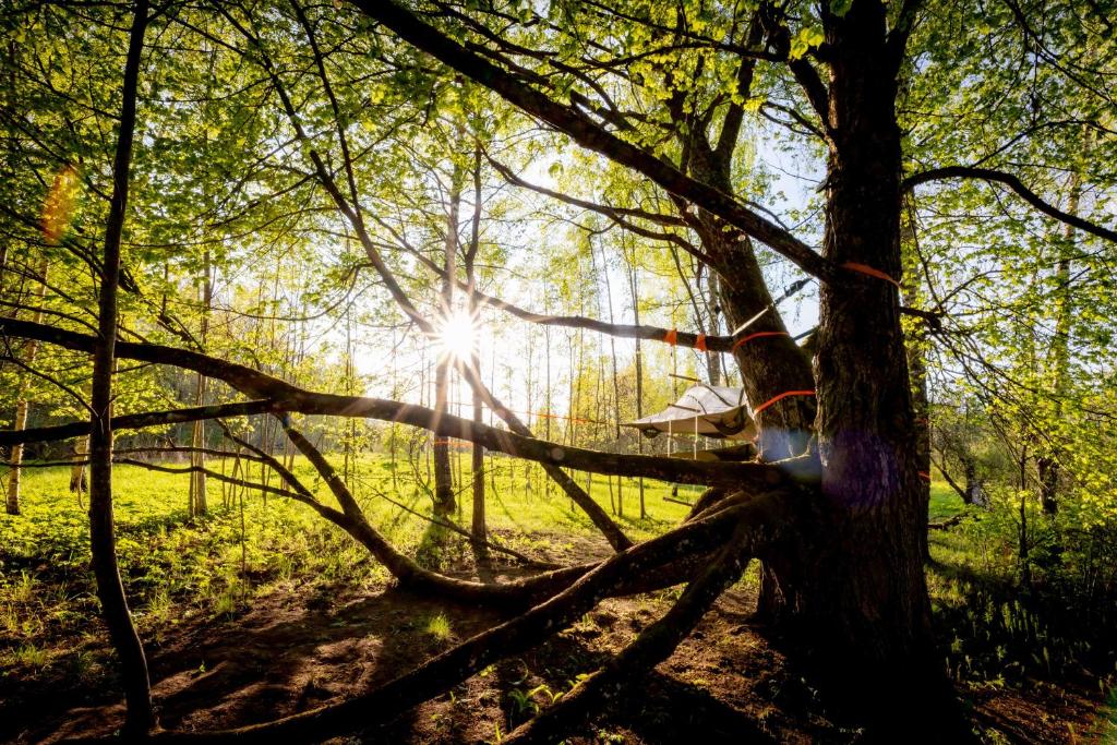 Příroda nedaleko luxury tent