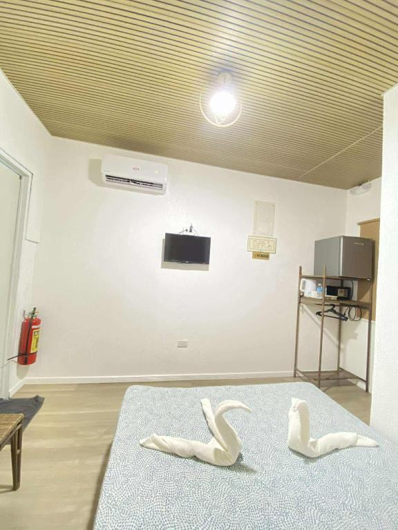 TV a/nebo společenská místnost v ubytování Ecostay Panglao Resort Hotel