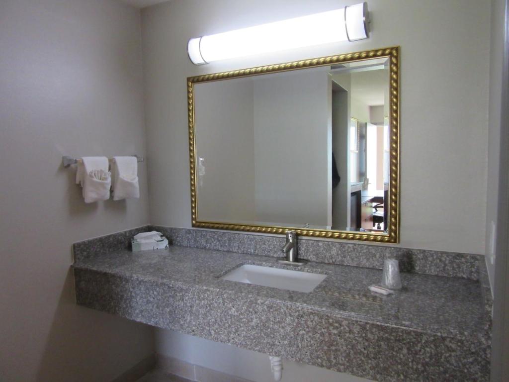 Rodeway Inn Arlington Entertainment District Area - King Room - Non-Smoking/Pet Friendly
