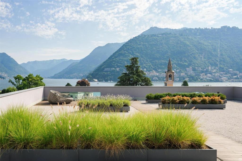a garden with mountains in the background at Hilton Lake Como in Como
