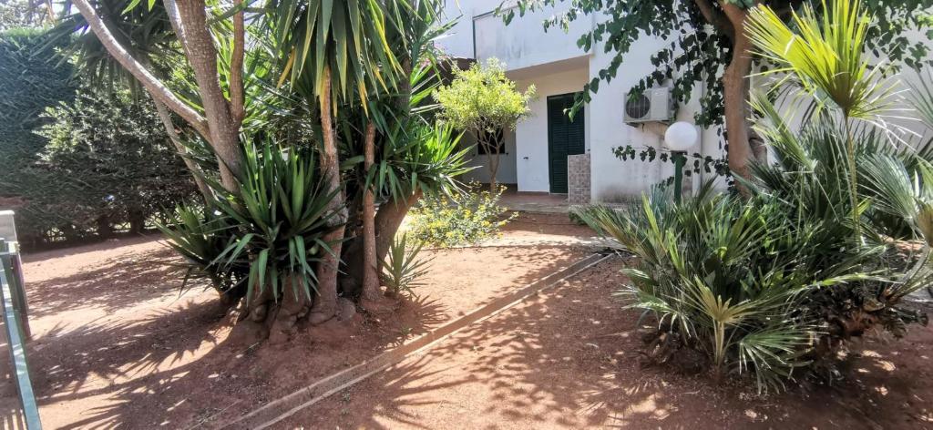 a garden with palm trees in front of a house at Villette Mar Ionio in Nardò