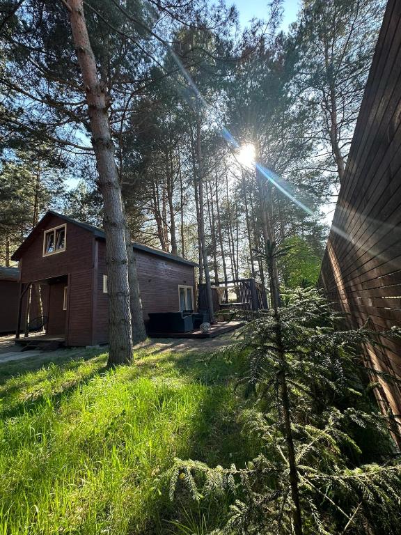 a house in the woods with the sun shining through the trees at Domek z balią in Zwierzyniec