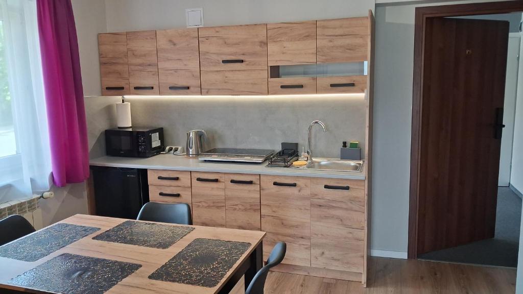 Willa na Olczańskim Wierchu - apartamenty i pokoje - 16