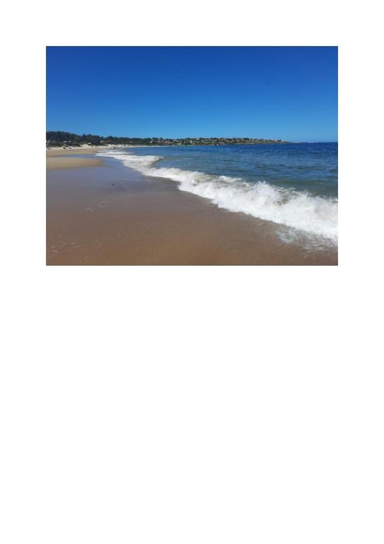 a picture of a beach with the ocean at Relax by the sea in Piriápolis