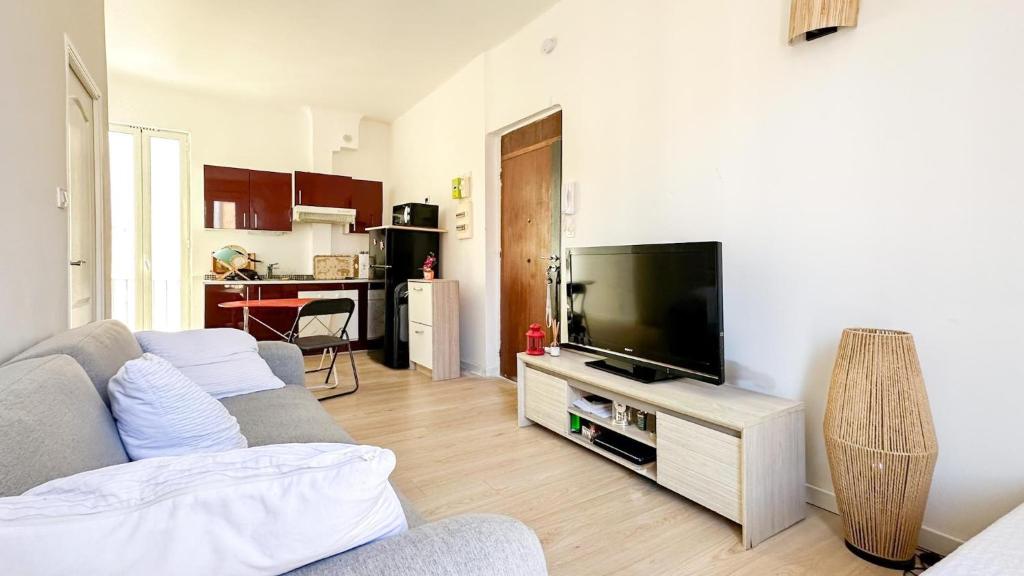 un salon avec un canapé et une télévision à écran plat dans l'établissement Nice deux pieces, à Nice