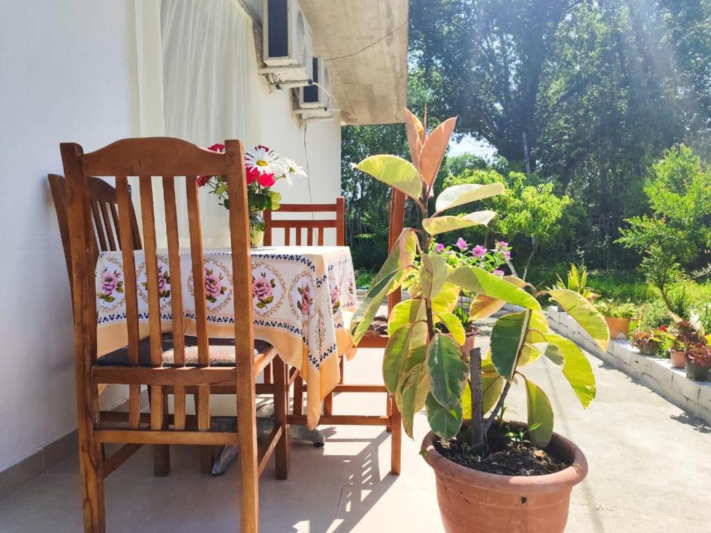 Zahrada ubytování Vlora House