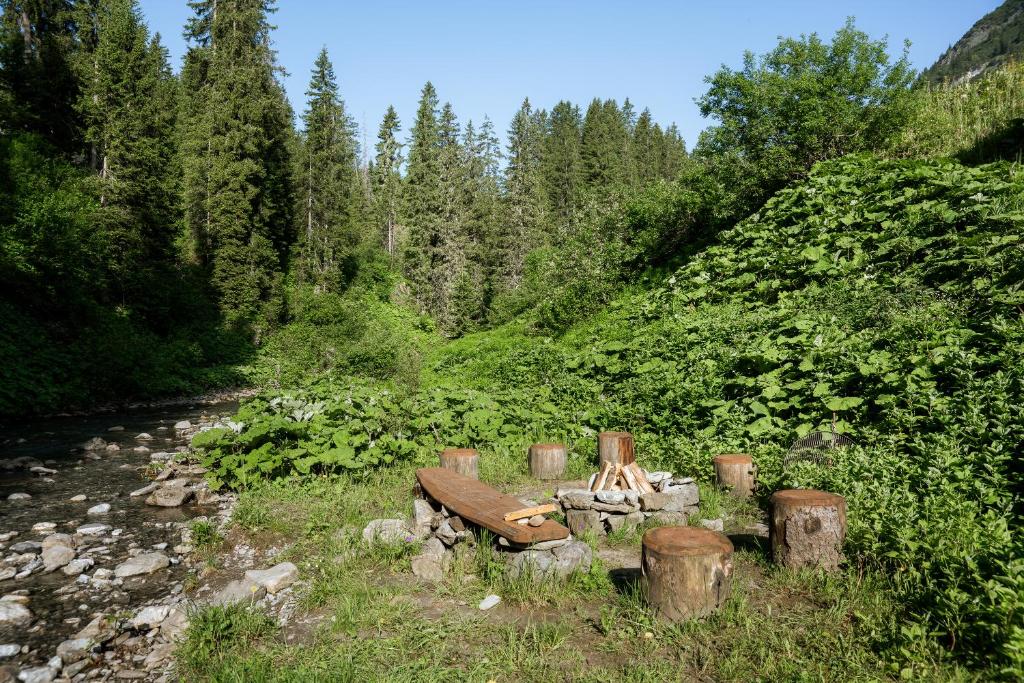 Příroda nedaleko apartmánu