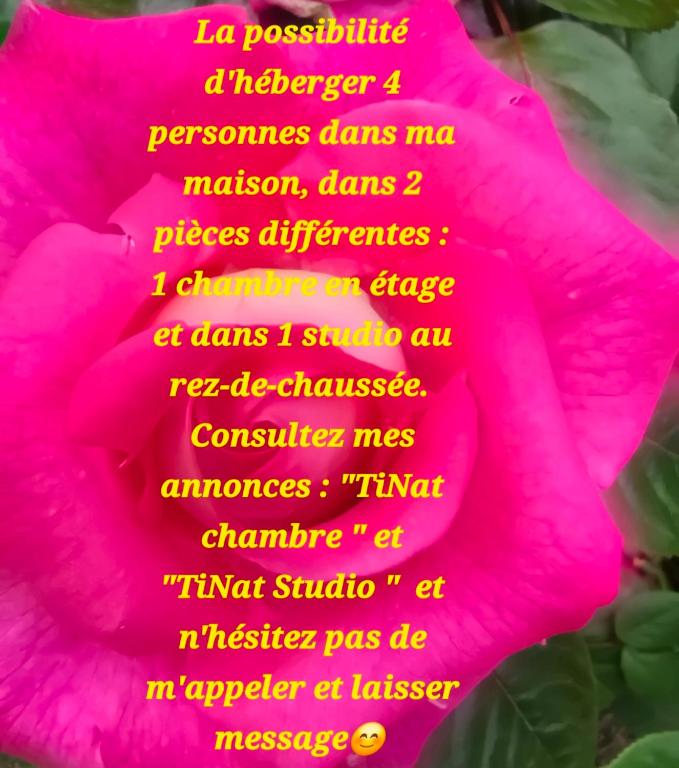 TiNat chambre - Double Room