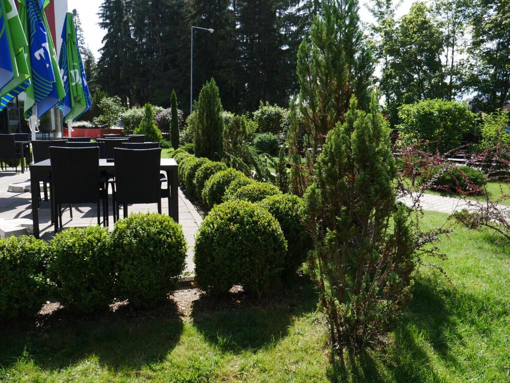 Zahrada ubytování Hotel Carpați