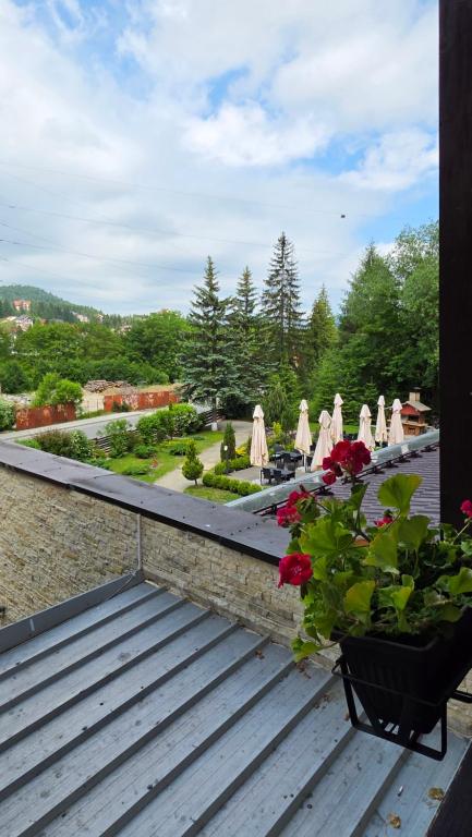 Nespecifikovaný výhled na hory nebo výhled na hory při pohledu z hotelu