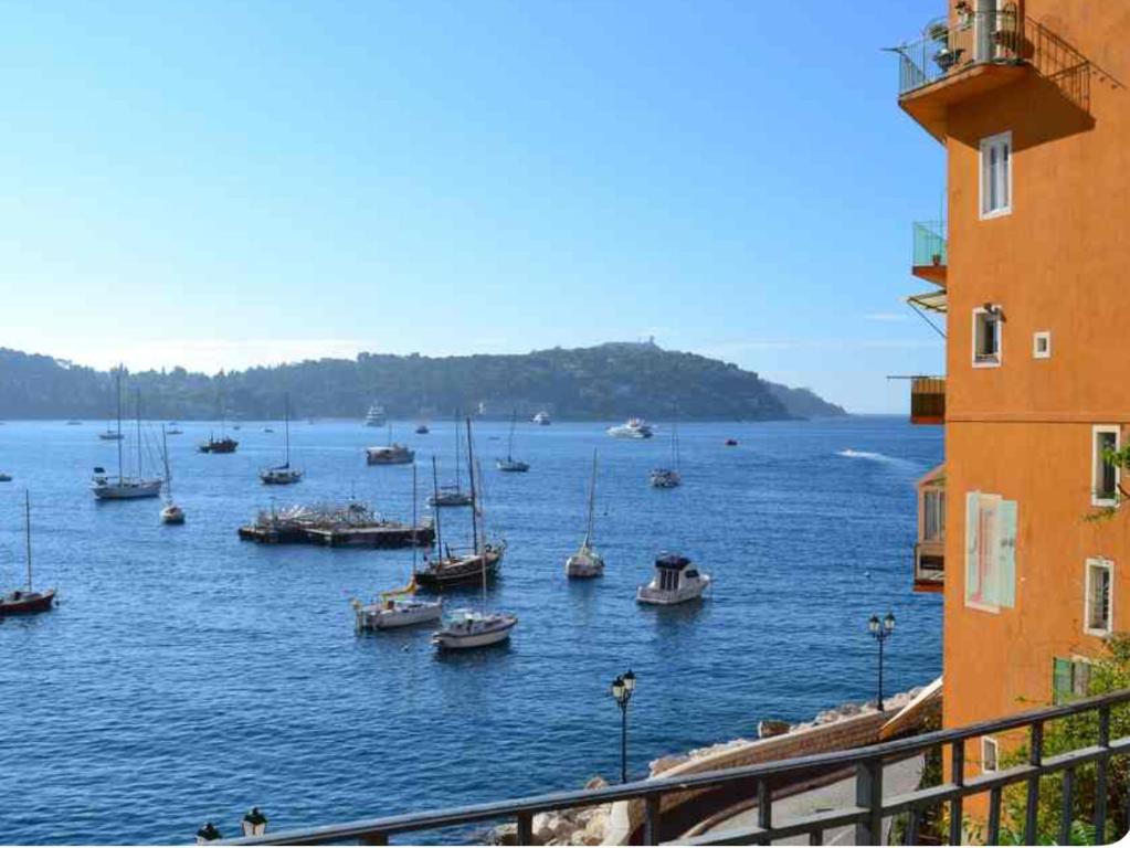un groupe de bateaux dans une grande masse d'eau dans l'établissement Villefranche, à Villefranche-sur-Mer