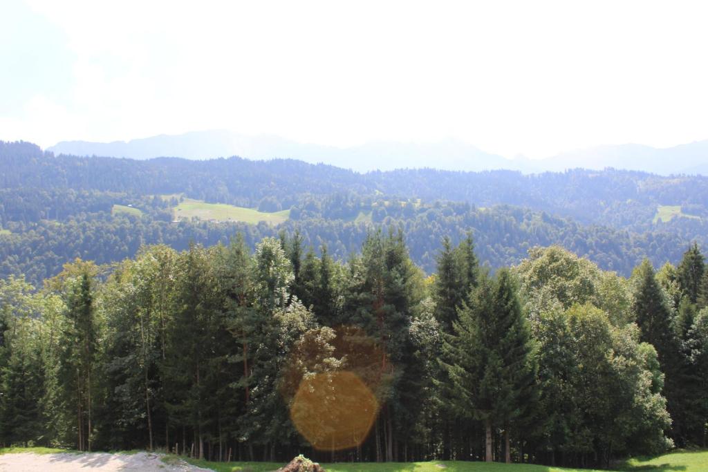 Pfeiffer Alm am Sonnenhang mit Blick auf die Zugspitze - 16