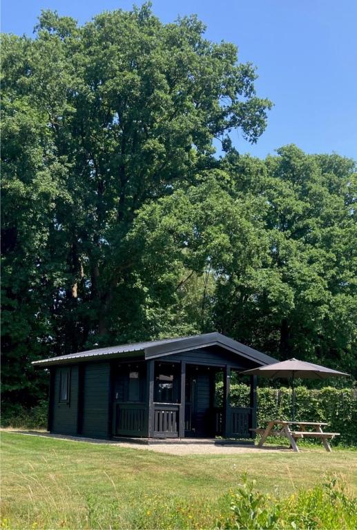 a green cabin with an umbrella in a field at Holiday Hut in Bornerbroek