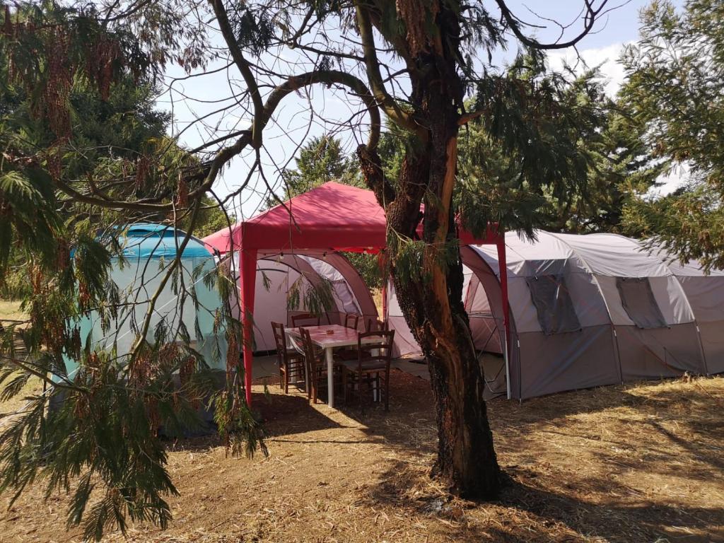Zahrada ubytování Nuraghe Ruiu Villaggio Tende Attrezzate