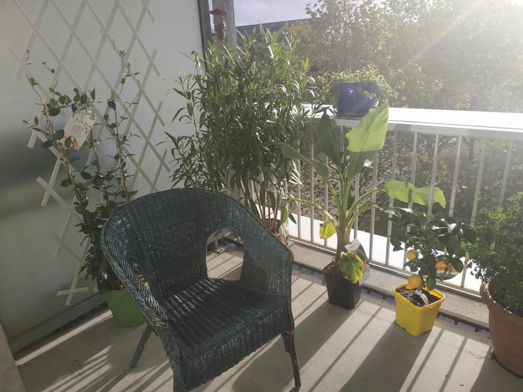 une chaise en osier assise sur un balcon orné de plantes dans l'établissement Bordeaux Grand appartement 2 terrasses calme parc ombrage parking prive, à Bordeaux