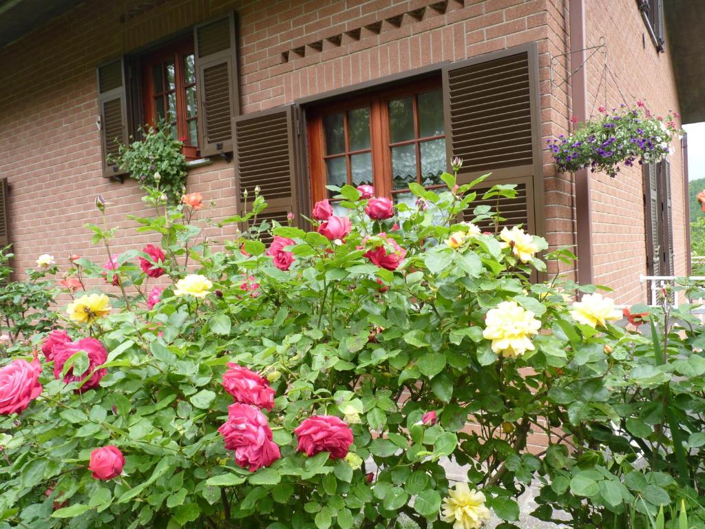 Vonkajšia záhrada v ubytovaní B&B The Roses Garden