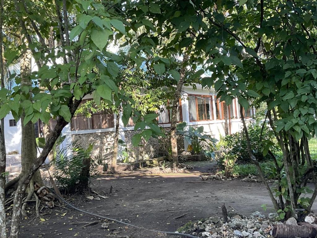 Zahrada ubytování JozaniBiospherevillage