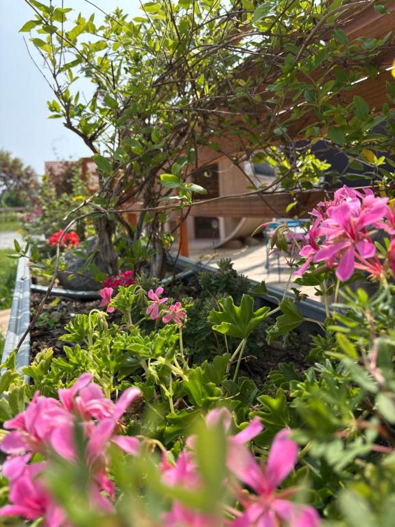 Zahrada ubytování Céüse lodges & spa