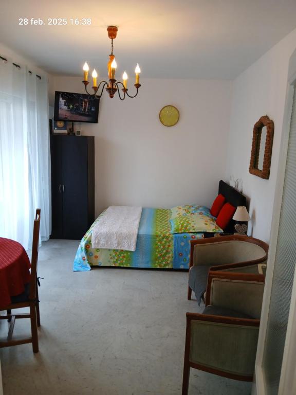 une chambre avec un lit et un lustre dans l'établissement STUDIO PARK Eden, à La Celle-sous-Gouzon