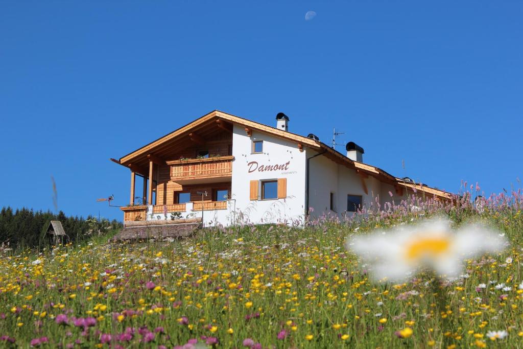 a building on a hill with a field of flowers at Apartments DAMONT in Santa Cristina Gherdëina