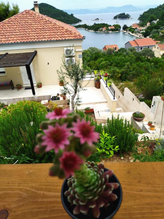 a vase with flowers in it sitting on a table at VILA ROZA in Prožura