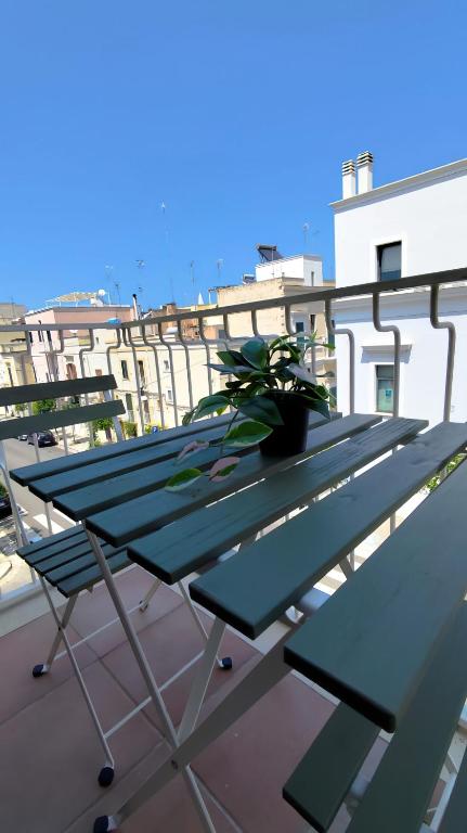 a picnic table with a potted plant on a balcony at La fontanella apartment in Monopoli