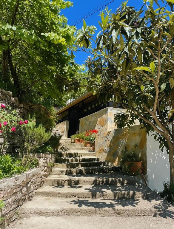 Zahrada ubytování Latifi Guesthouse