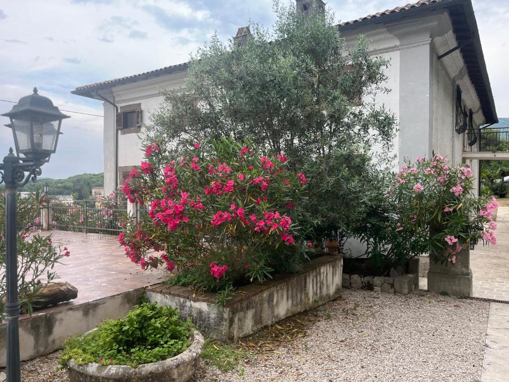 Zahrada ubytování Villa Allegrini