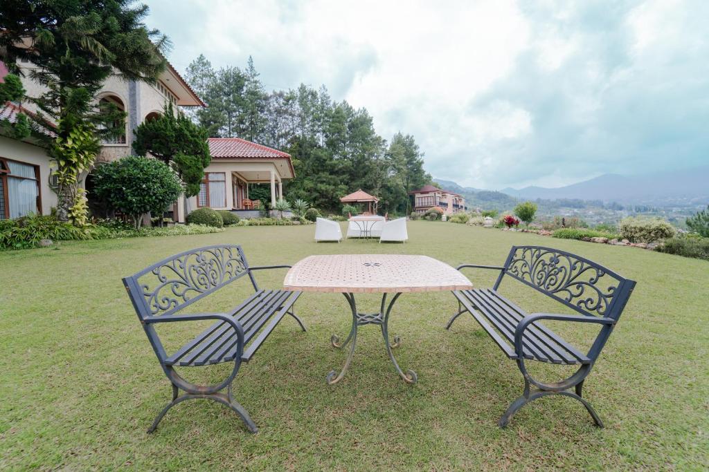 Příroda nedaleko rezortu