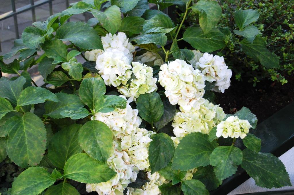 Owl Hotel - Resim 28