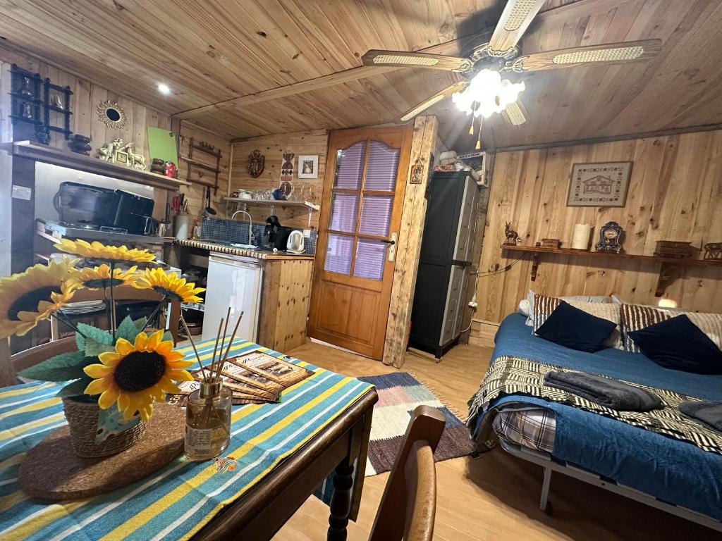 Kuchyň nebo kuchyňský kout v ubytování Mobile home gerardmer
