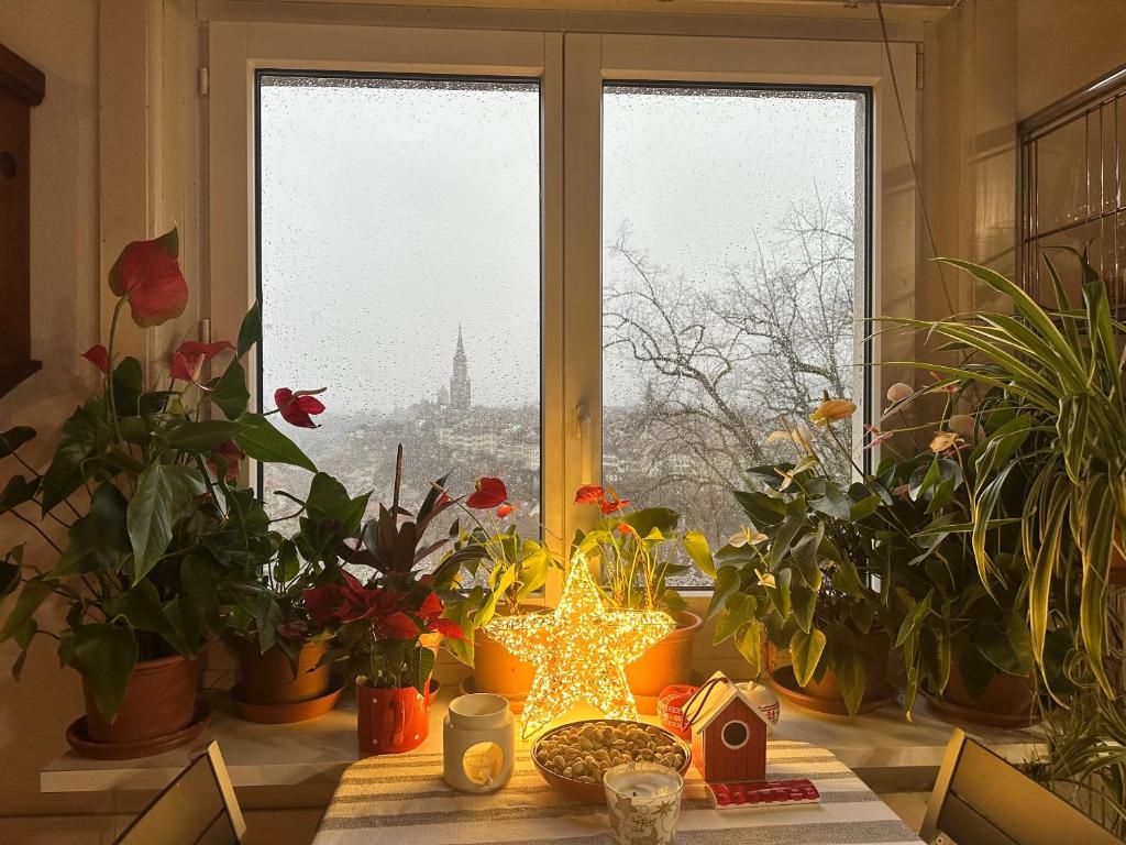 Fotografie z fotogalerie ubytování Bears View BB v destinaci Bern